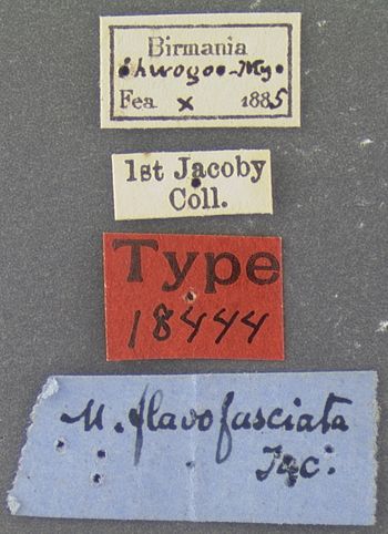 Media type: image; Entomology 18444   Aspect: labels